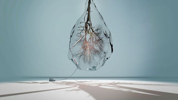 berlinartlink-discover-auroraprelude