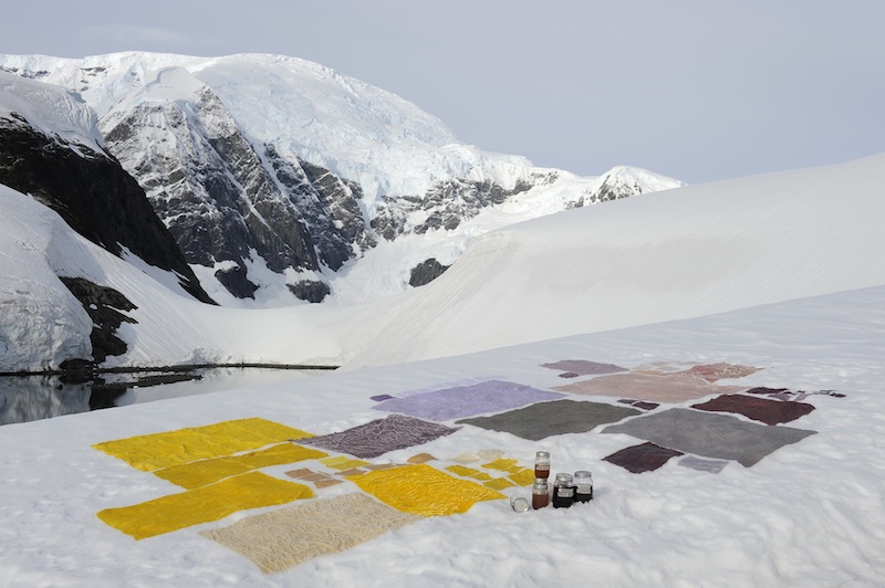 berlinartlink-venicebiennale-antarcticpavilion