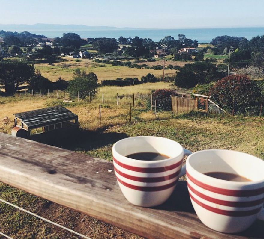 Wake Up And Smell The 100 All-Time Greatest Quotes About Coffee