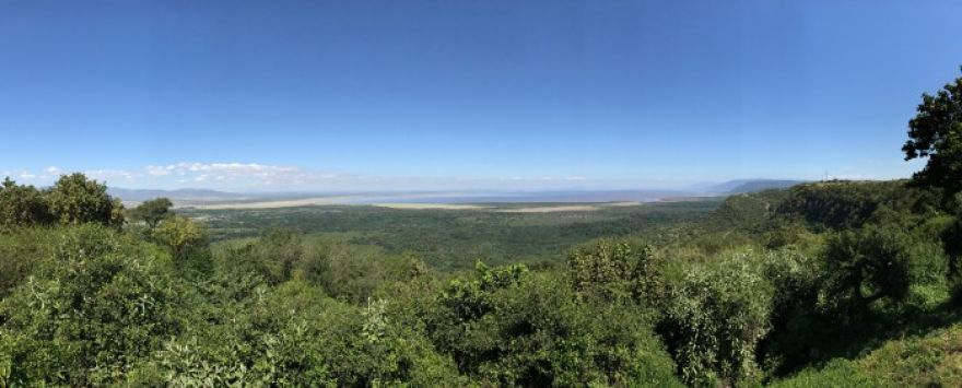 Lake Manyara Serena Game Lodge Review. Stunning Tanzania Safari Place To Stay!