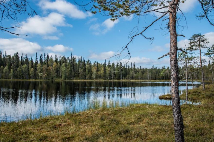 Visit Finland Tips : 10 Things Every Traveller Should Know About Their Wilderness!